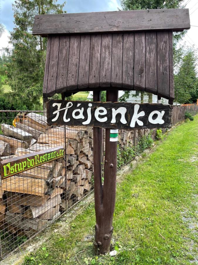 Penzion Hajenka Petrovice  Kültér fotó