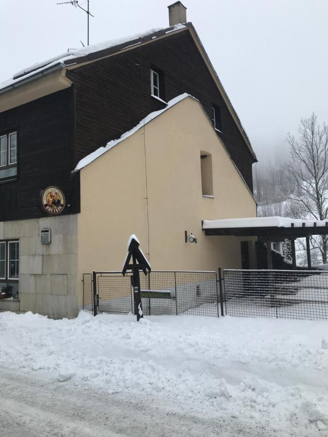 Penzion Hajenka Petrovice  Kültér fotó
