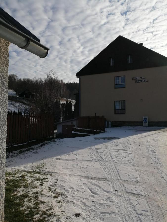 Penzion Hajenka Petrovice  Kültér fotó
